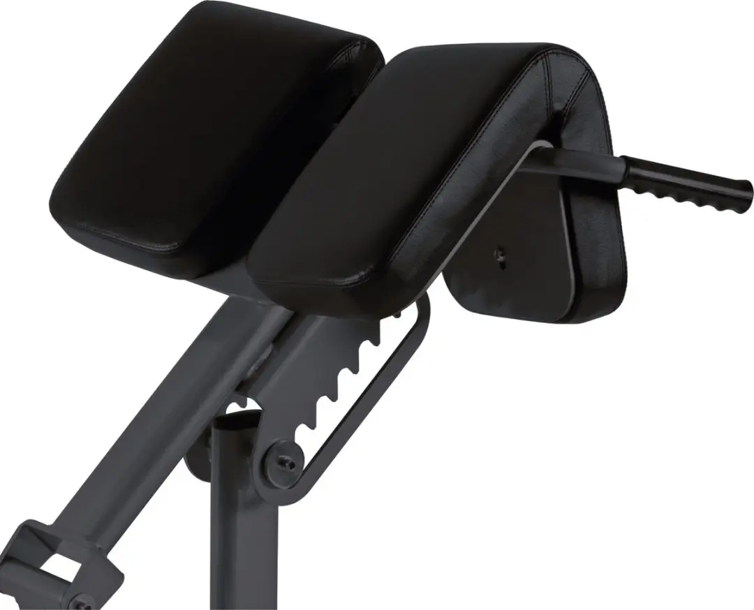 Toorx Professional WBX-B2600 Back Extension - Verstelbare Fitnessbank - Zwart