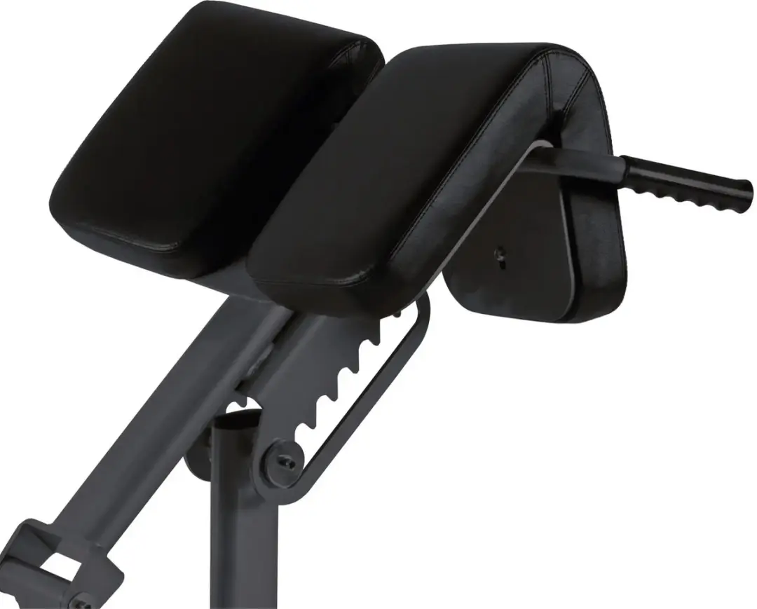 Toorx Professional WBX-B2600 Back Extension - Verstelbare Fitnessbank - Zwart
