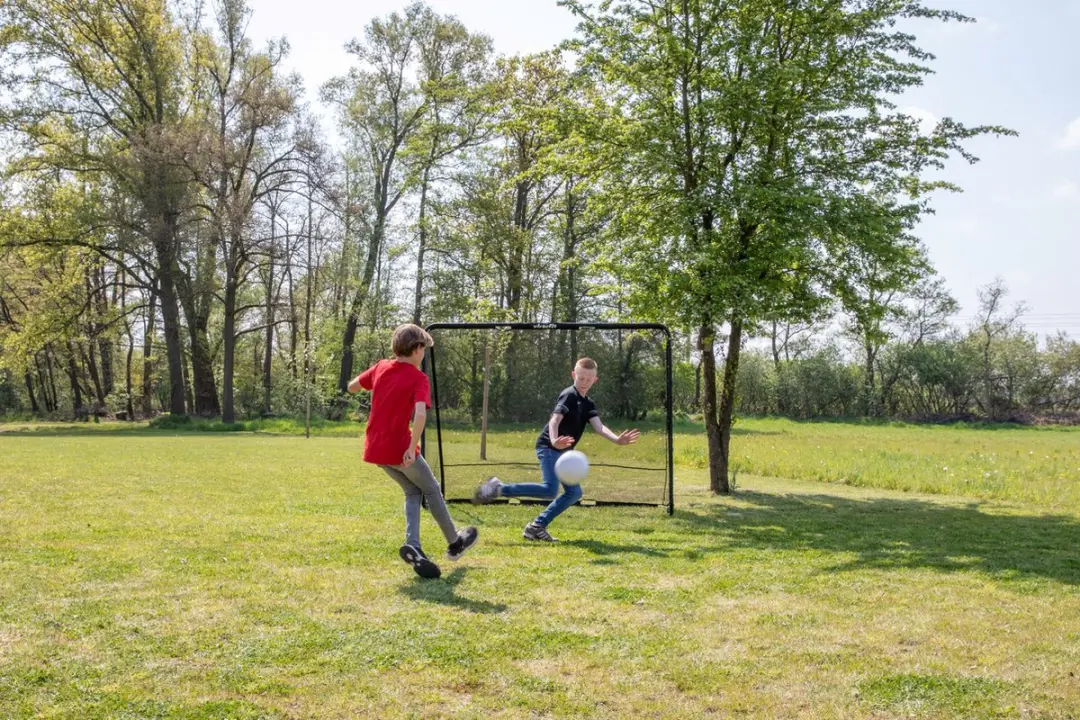 Virtufit Voetbaldoel Pro 220x170cm - Doelwand met 2 open zones - Zwart