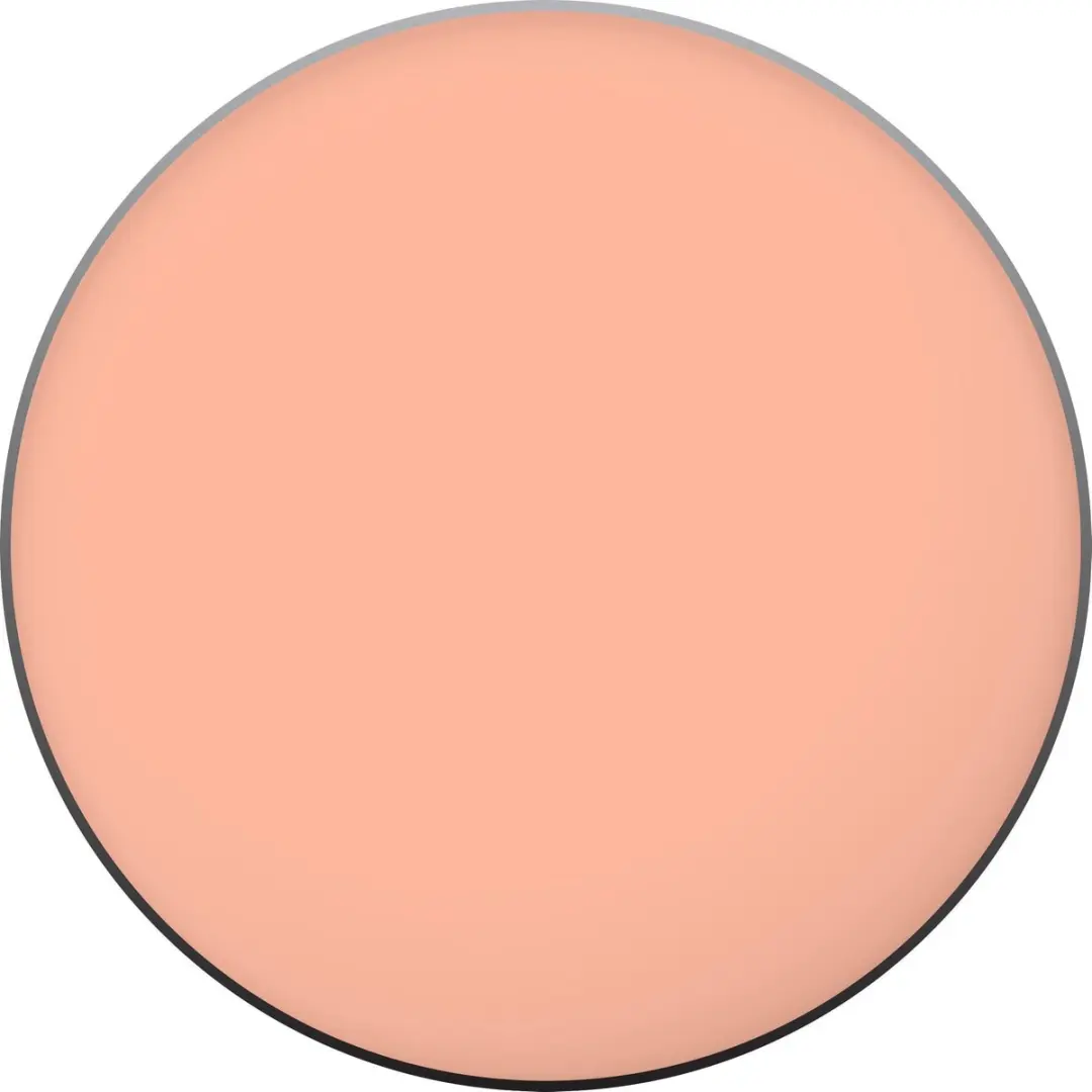 MAC Pro Longwear Paint Pot Layin' Low - Oogschaduwprimer 0.005g