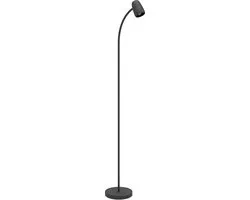 Eglo Carlo Vloerlamp E14 - 170cm - Zwart