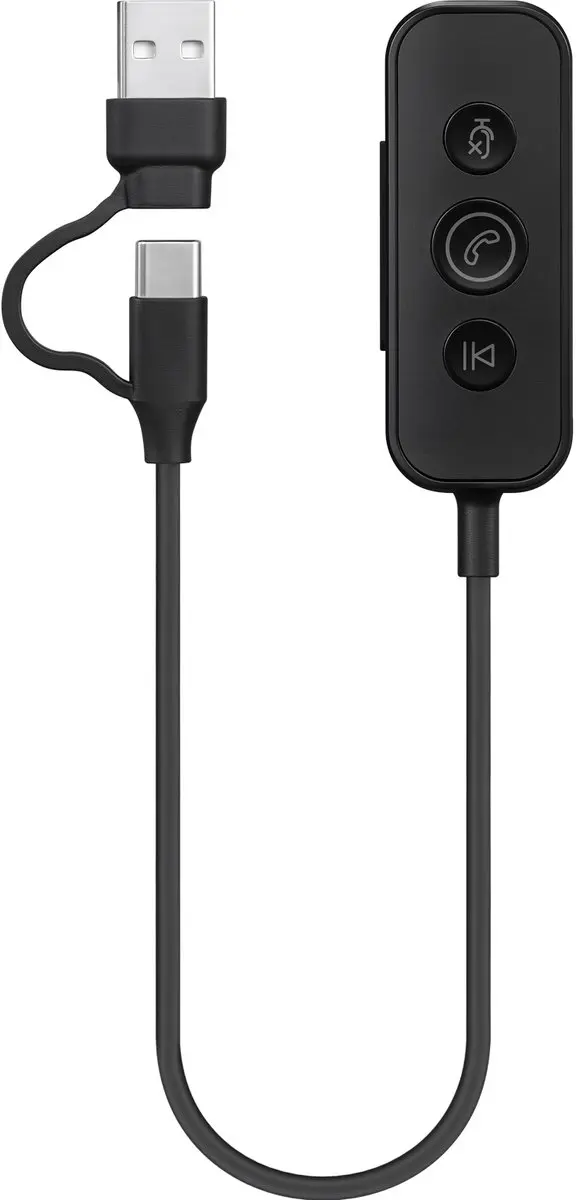 Sandberg 126-54 Hoofdtelefoon Bedraad - USB Type-C/A - Zwart