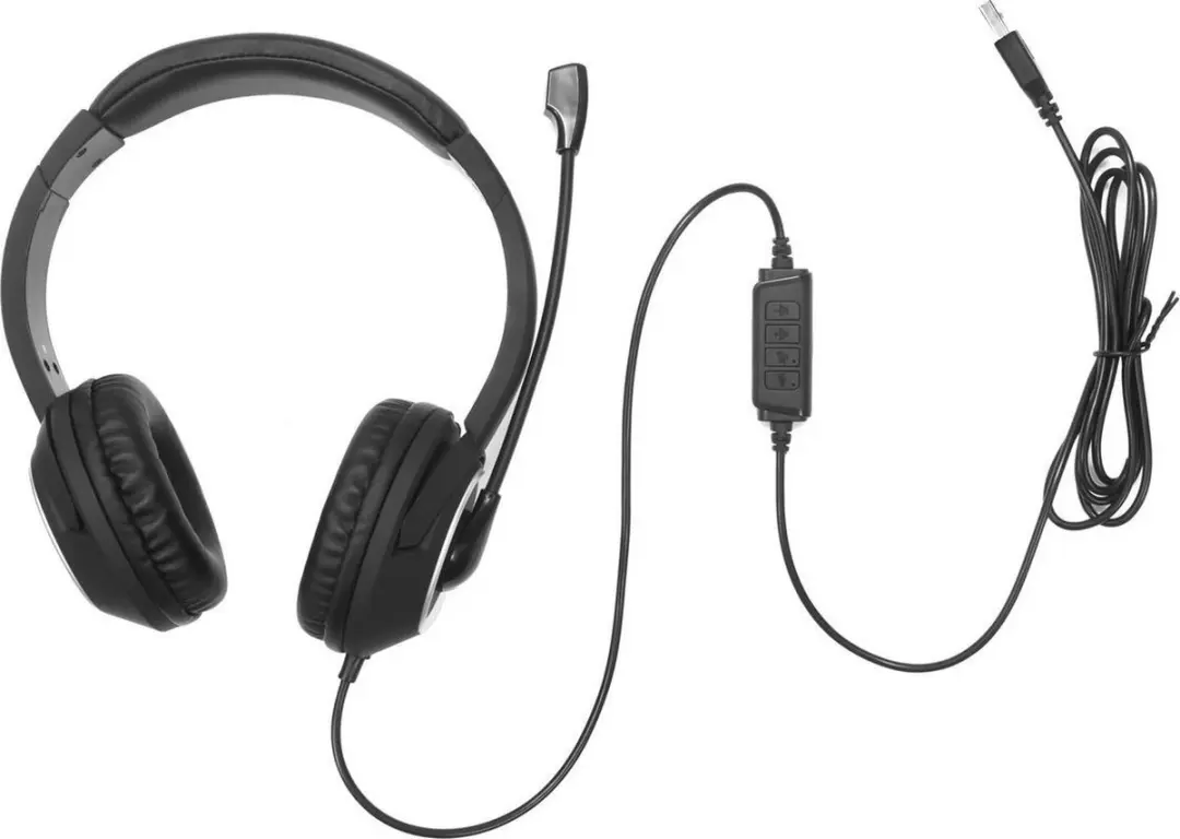 Sandberg 126-16 USB Chat Headset - Zwart