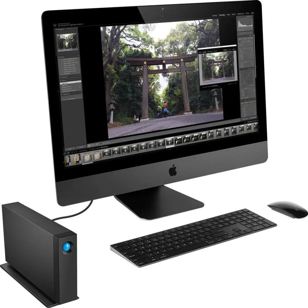 LaCie d2 Professional STHA100008 Externe SSD 10TB - Zwart
