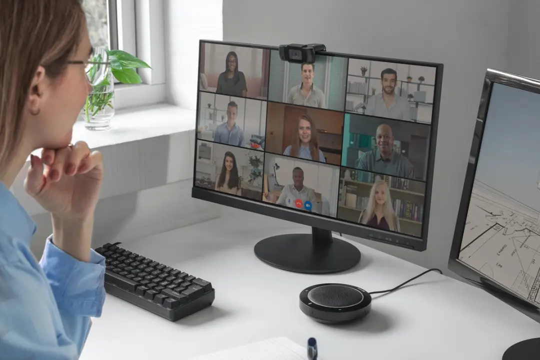 Sandberg USB Webcam 480P Saver 333-95 - Zwart
