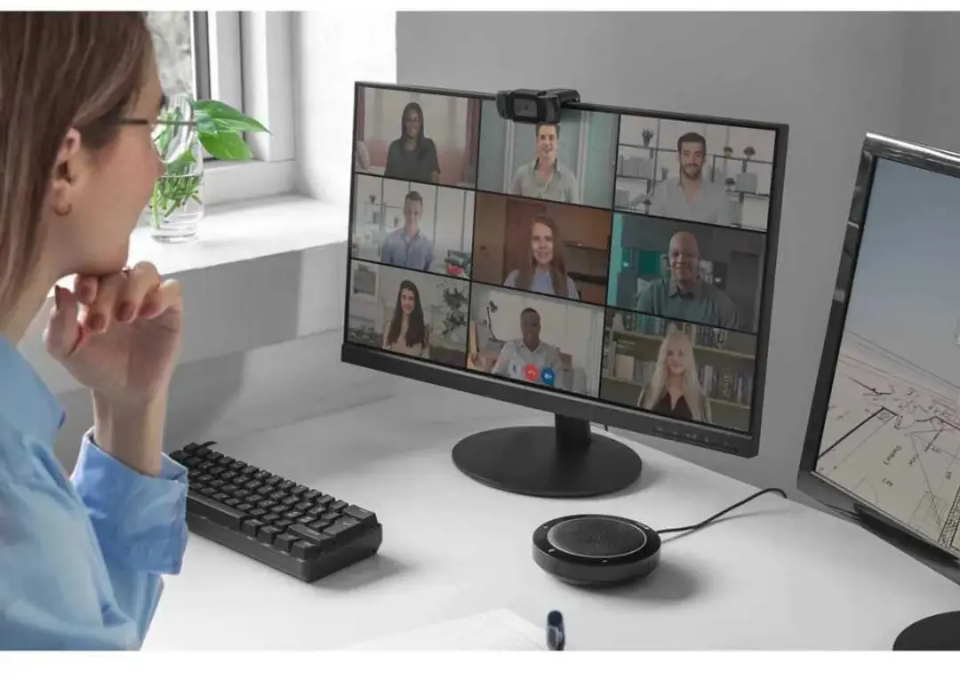 Sandberg USB Webcam 480P Saver 333-95 - Zwart