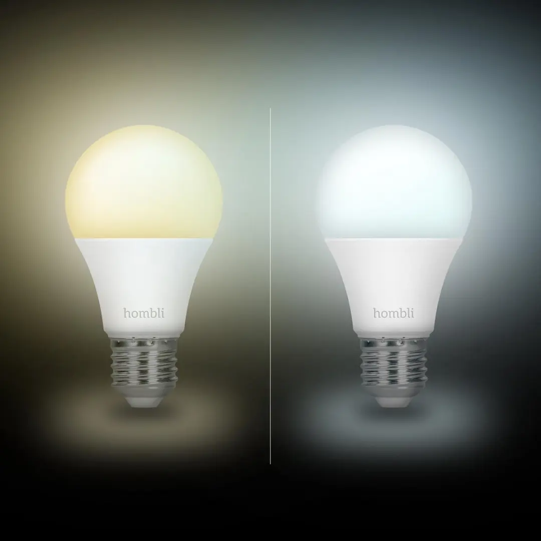 Hombli Slimme LED Lamp E27 35W - Mat - Promopack 2 Stuks
