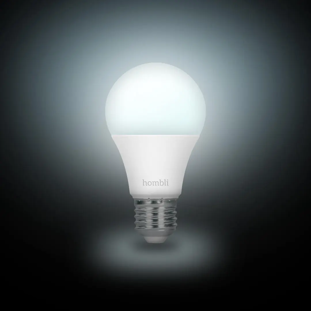 Hombli Slimme LED Lamp E27 35W - Mat - Promopack 2 Stuks