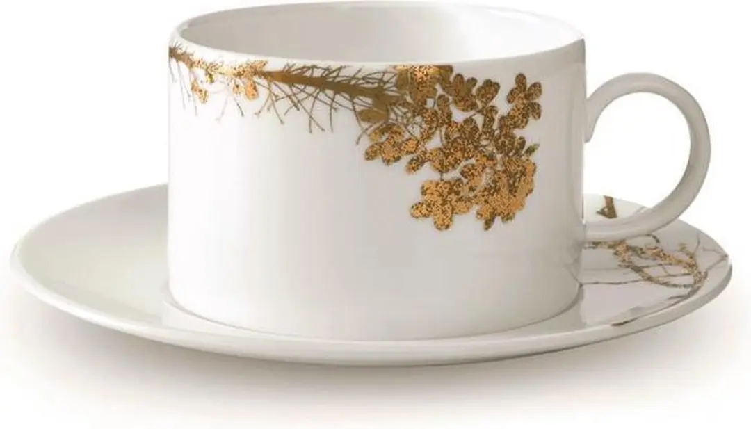 Wedgwood Vera Wang Jardin Theekop & Schotel