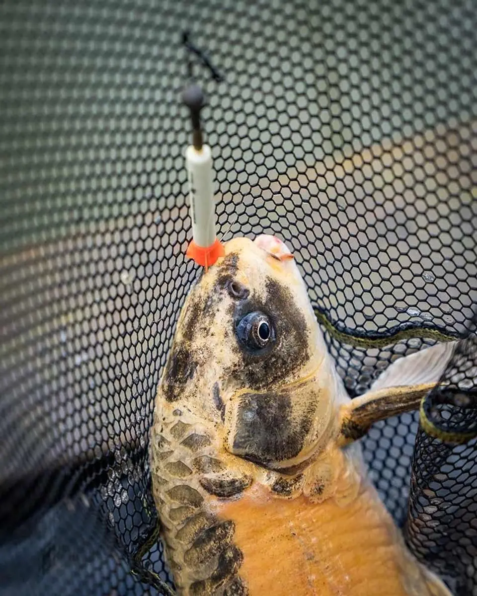 Matrix Foam Pellet Waggler 5.00g - Grijs/Oranje/Wit