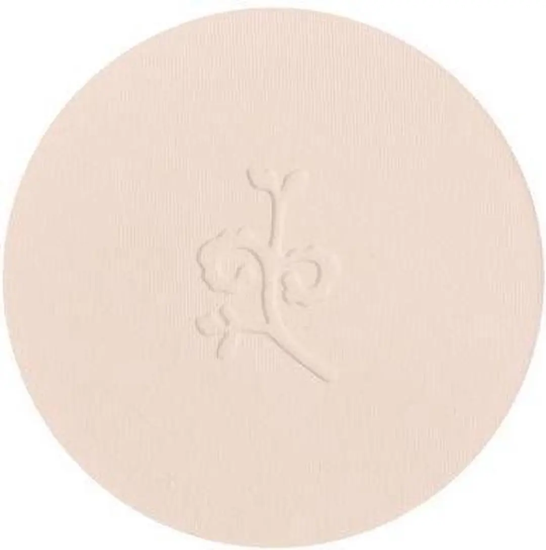 Benecos Compact Powder Fair 9g