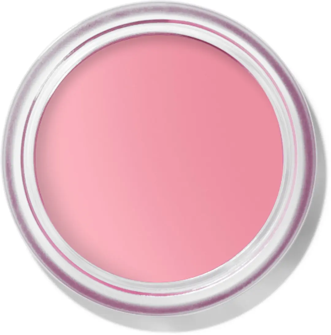 Bobbi Brown Pot Rouge Velvet Matte 7 Petal Pink