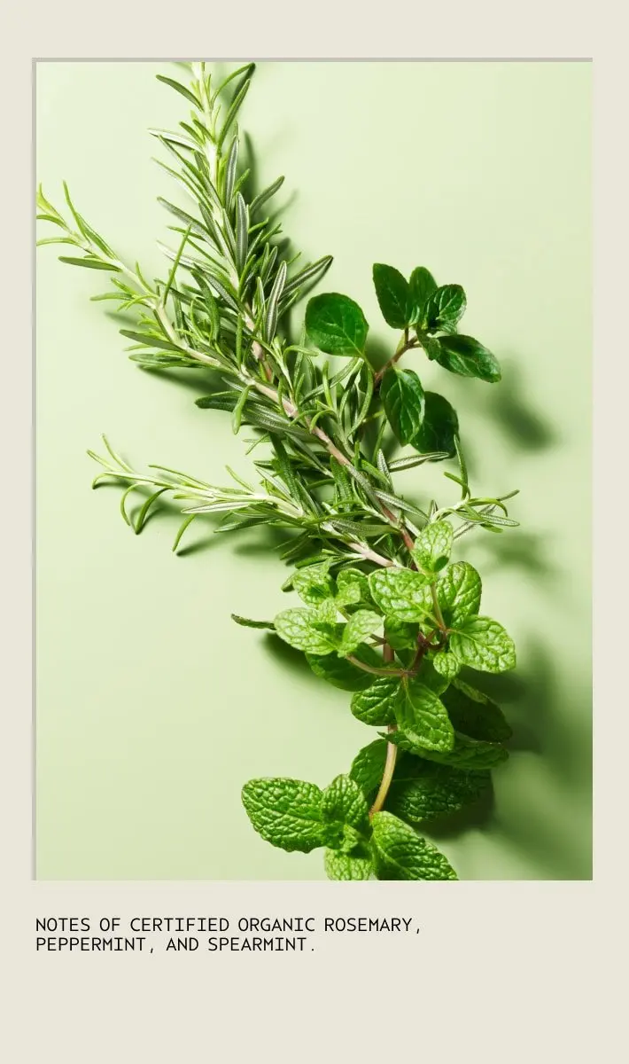 Aveda Rosemary Mint Purifying Shampoo 50ml