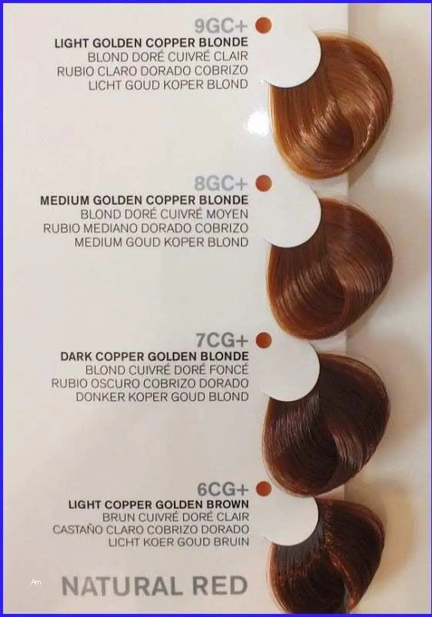 Joico Vero K Pak Haarverf 9GC Age Defy - 74ml - Permanent