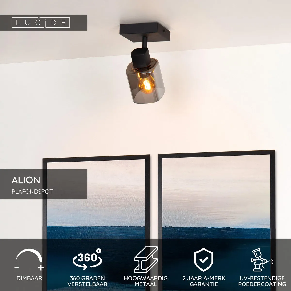 Lucide Alion Plafondspot E14 - Zwart