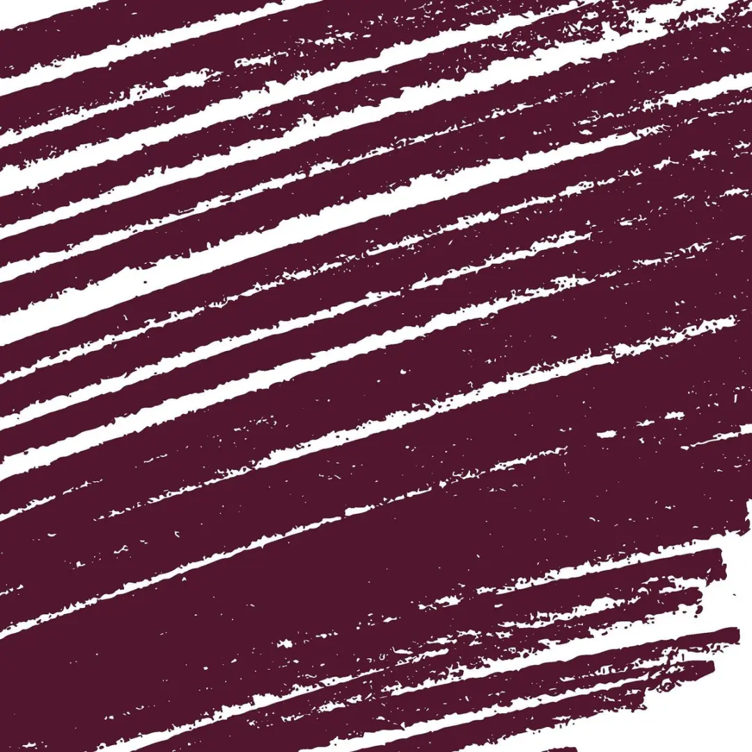 Collistar Professional Lip Pencil 14 Bordeaux - 1.2ml