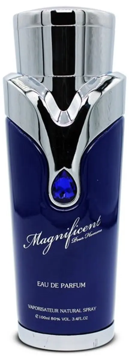 Armaf Magnificent Blue Pour Homme EDP - 100ml