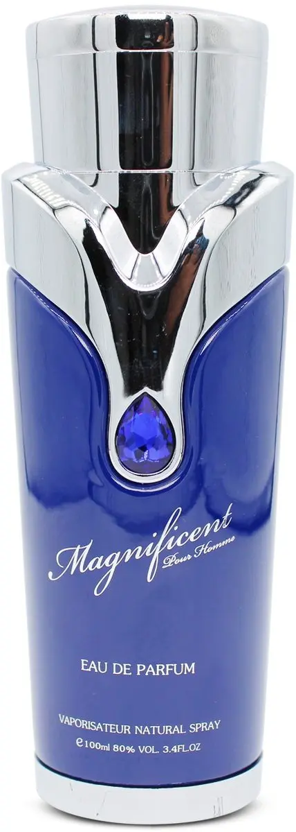 Armaf Magnificent Blue Pour Homme EDP