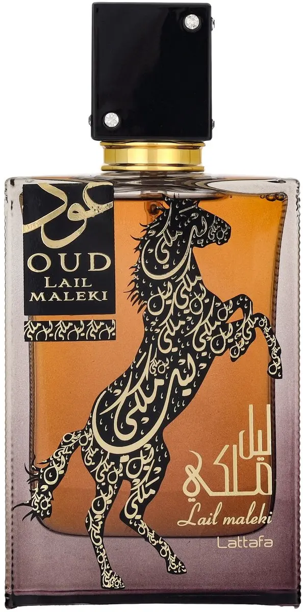 Lattafa Oud Lail Maleki Eau de Parfum 100ml - afbeelding 4 van 6
