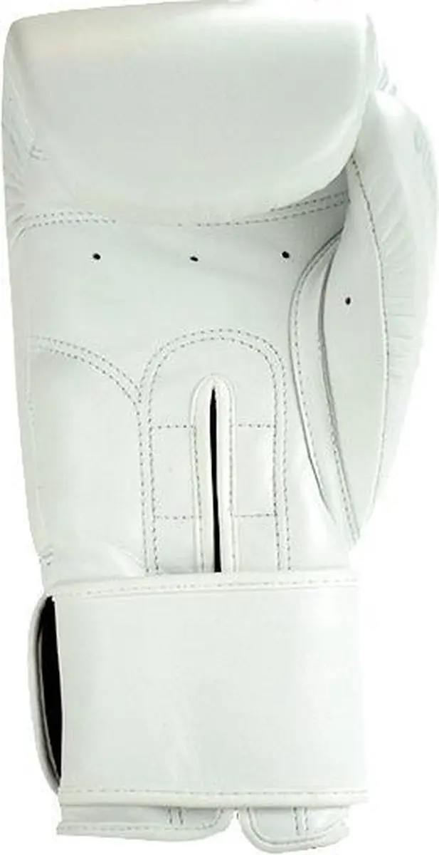 Super Pro Combat Gear Legend SE Bokshandschoenen 14 oz - Wit