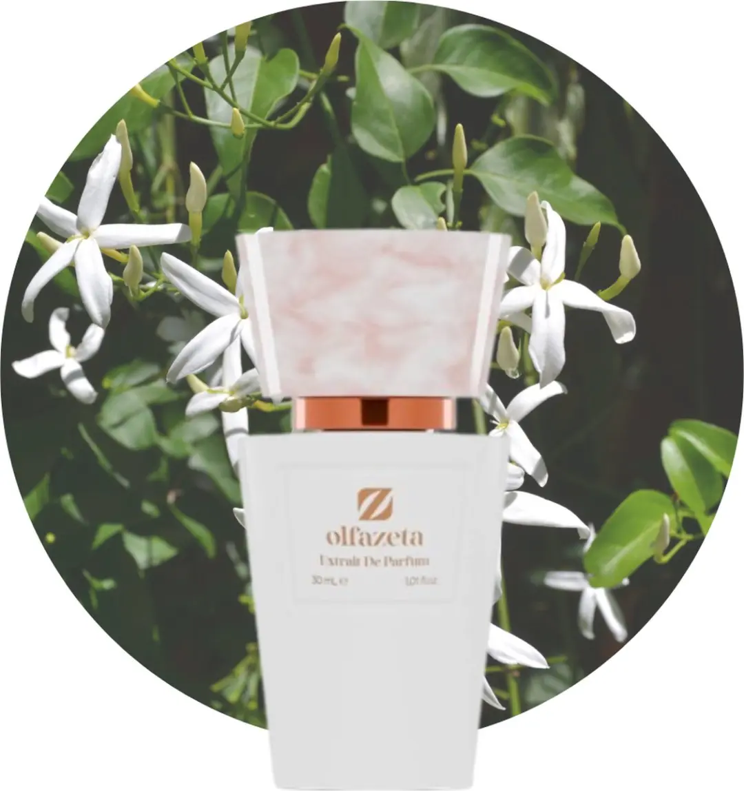 CHOGAN Olfazeta Parfum Nr. 7