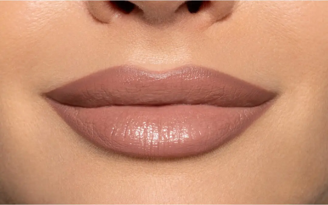 Pupa Milano Vamp! Creamy Duo Lip Pencil & Lipstick 005 Deep Nude