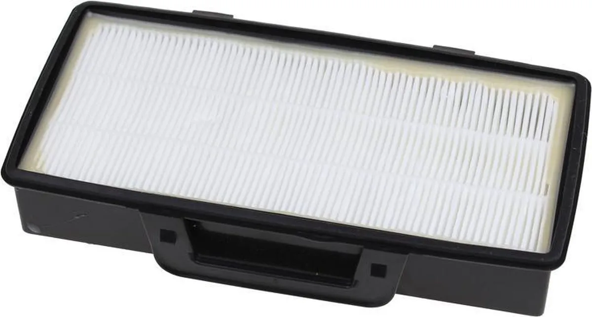 Rowenta Hepa Filter 5206544