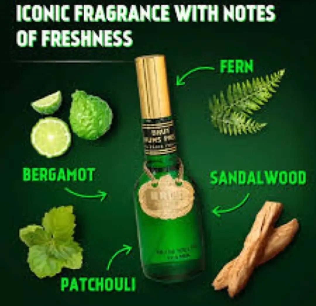 Brut Original Eau de Toilette 100ml