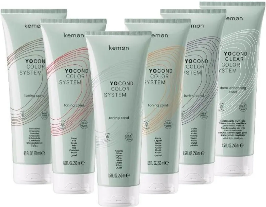 Kemon Yo Color System Argento 250ml