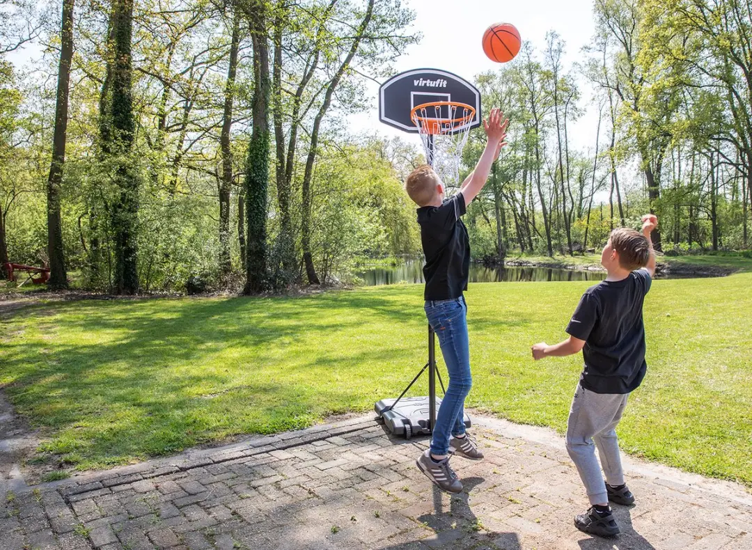 Virtufit Basketbalpaal 170-215cm - Verrijdbaar met wieltjes