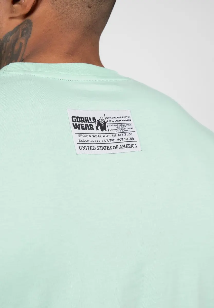 Gorilla Wear Classic T-shirt Mint - S