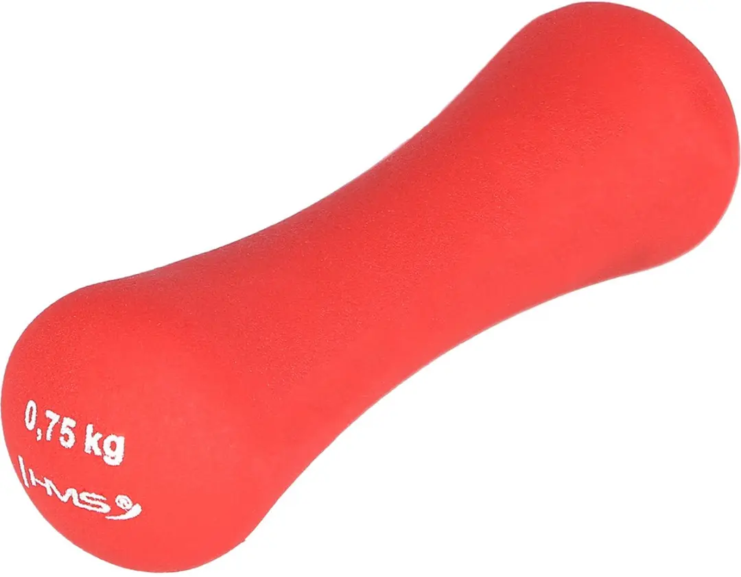 HMS Gietijzeren Dumbbell 0,75 kg