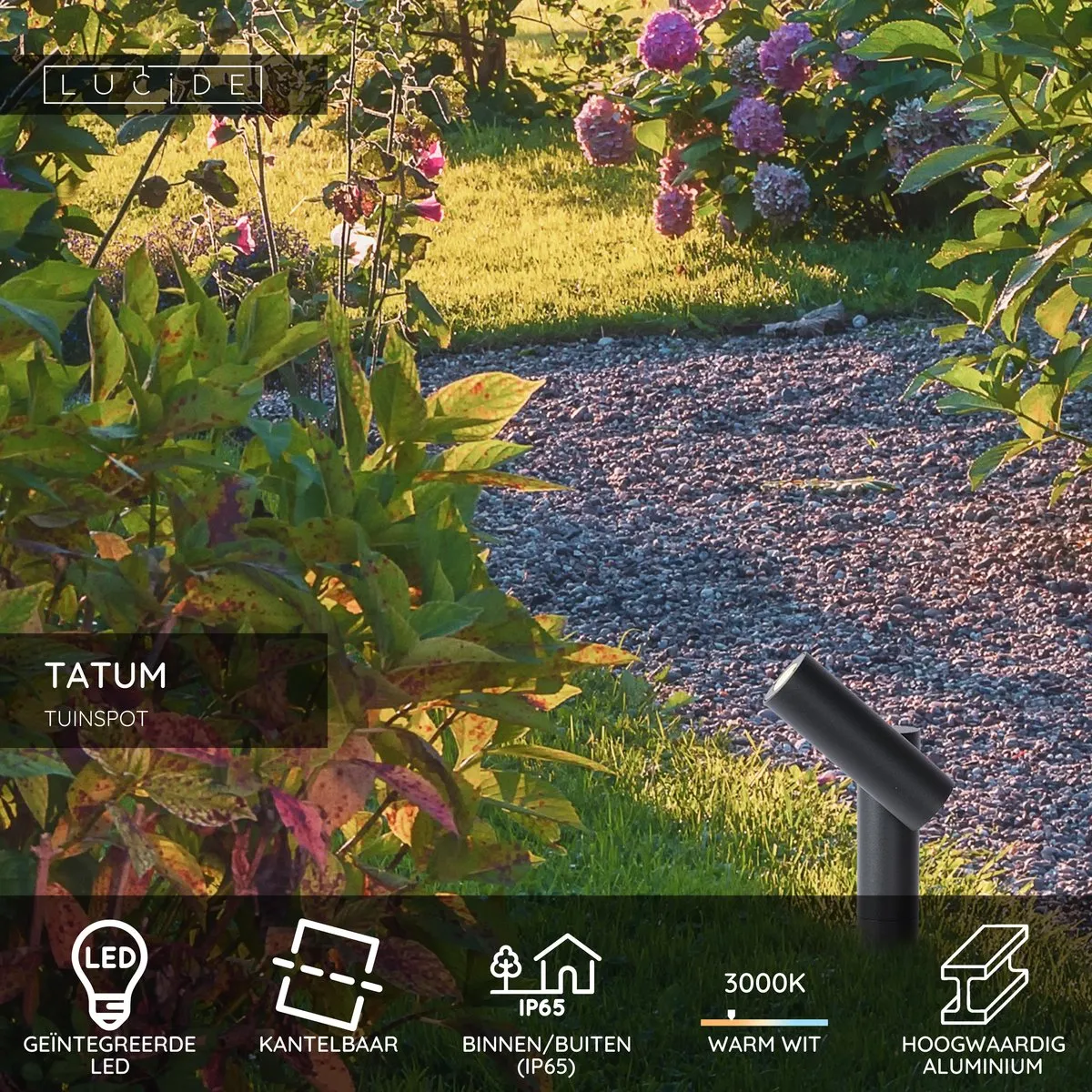Lucide TATUM - Tuinspot - LED - 1x4,5W 3000K - IP65 - Antraciet