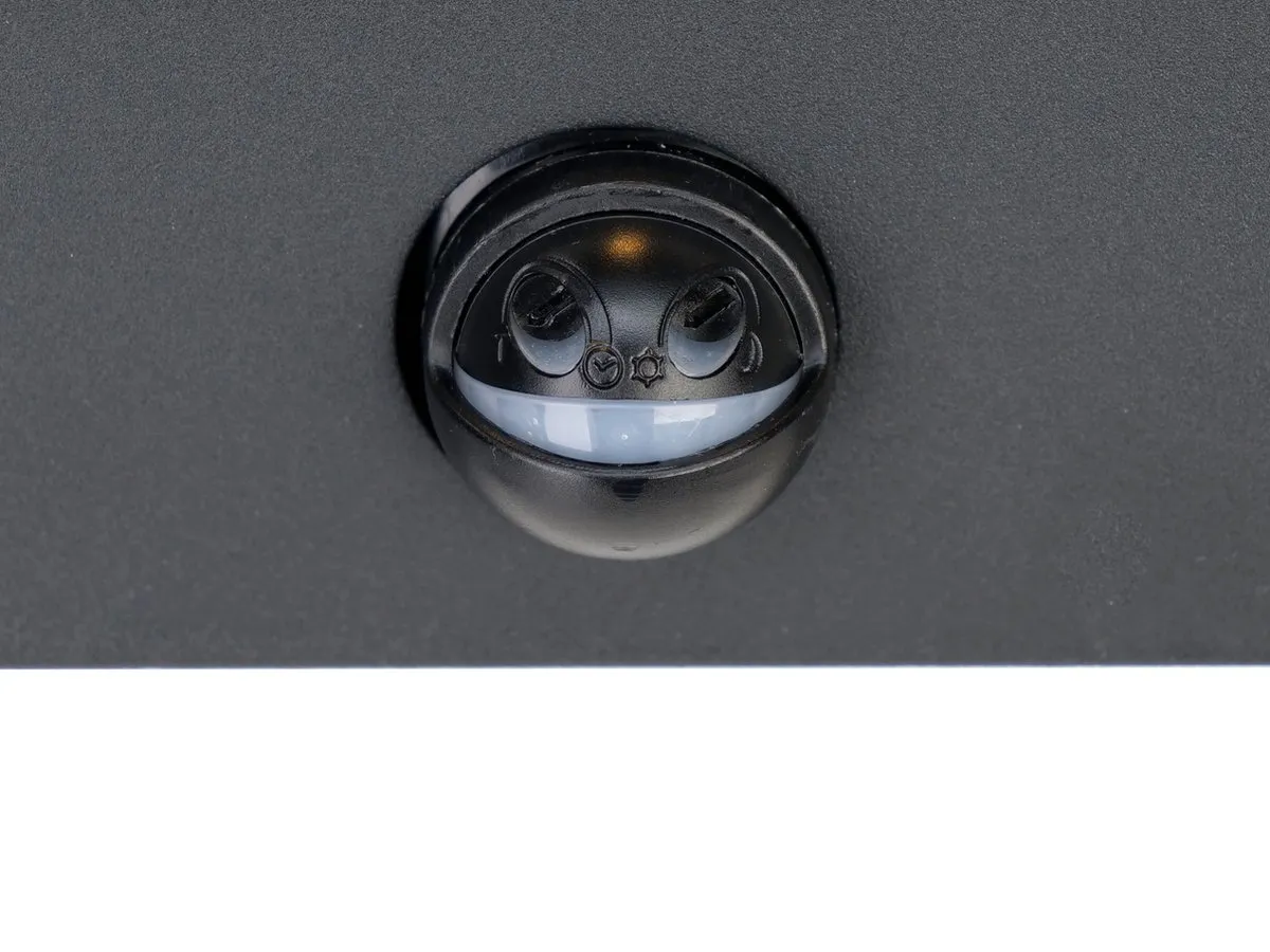 Eglo Alamonte Wandlamp Buiten E27 - 29,5cm - Zwart - IP44