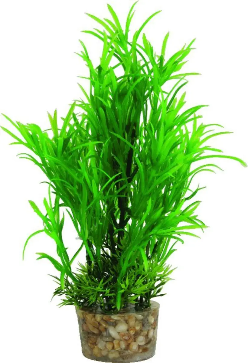 Zolux Kunstplant Aquarium Groen Medium - afbeelding 6 van 6