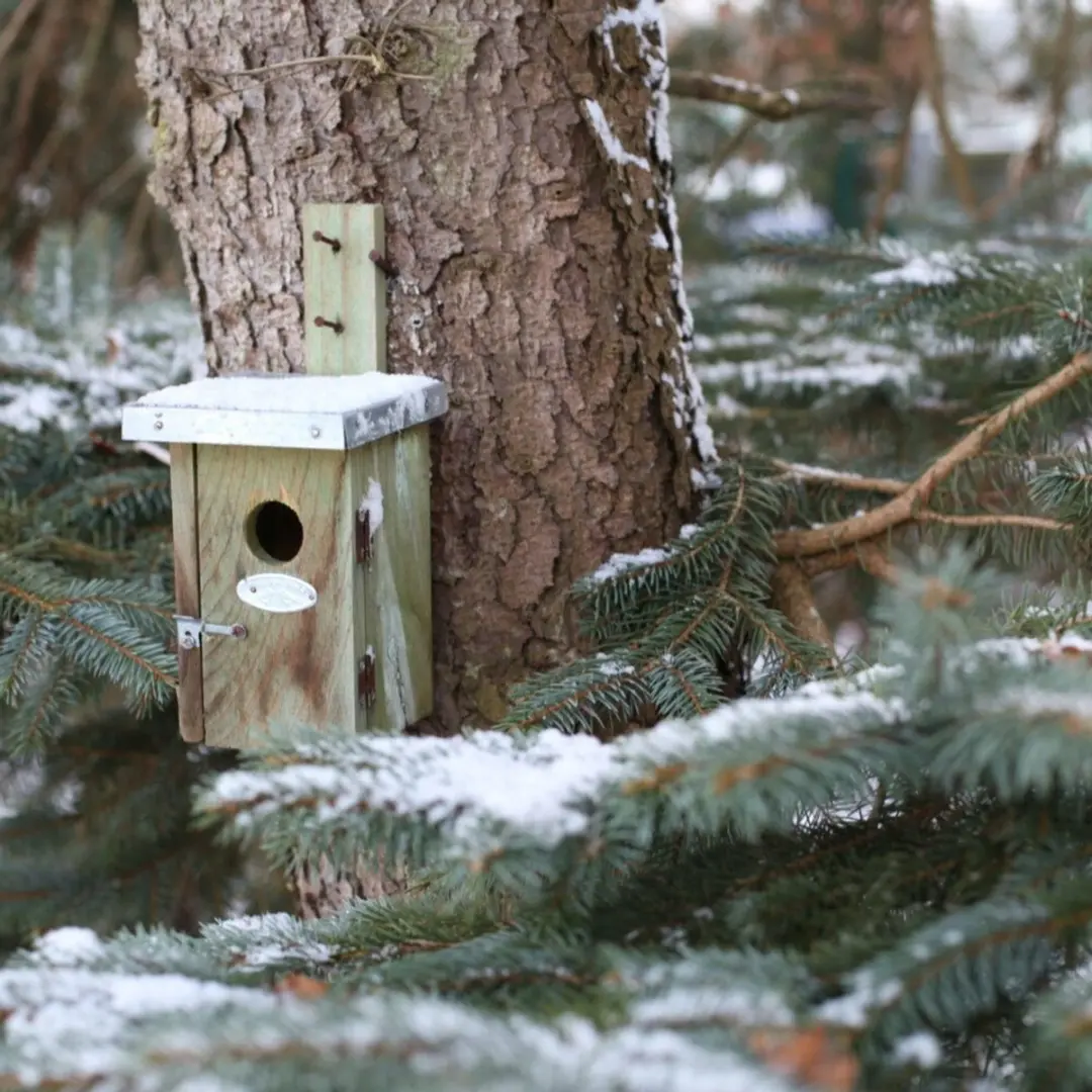Esschert Design Winterkoning Vogelhuisje - 14x12x25cm