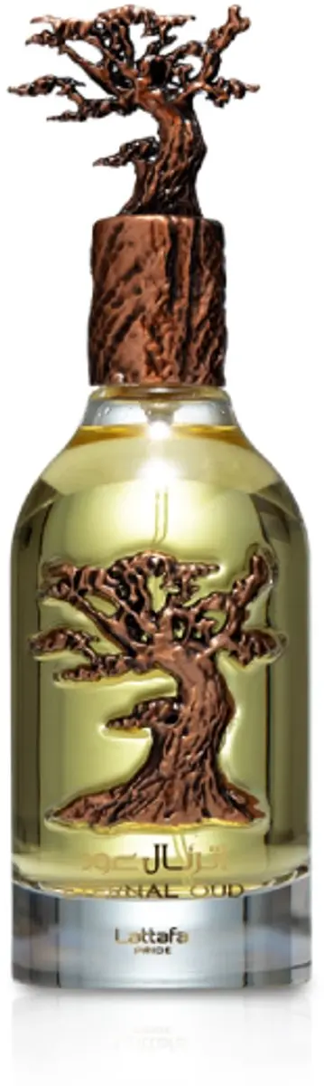 Lattafa External Oud Eau de Parfum 100ml