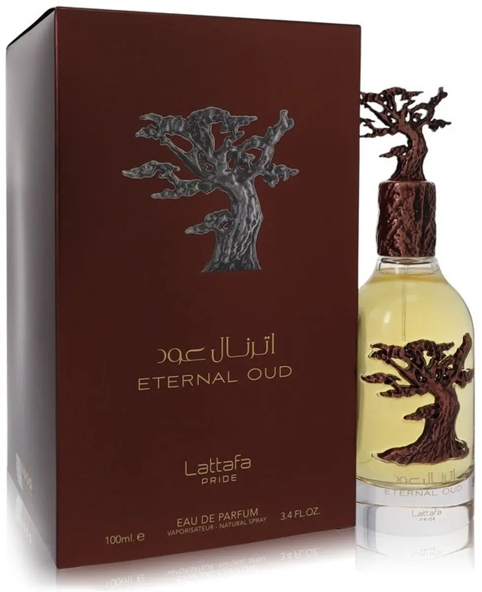 Lattafa External Oud Eau de Parfum 100ml