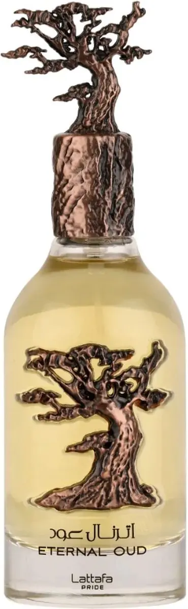 Lattafa External Oud Eau de Parfum 100ml