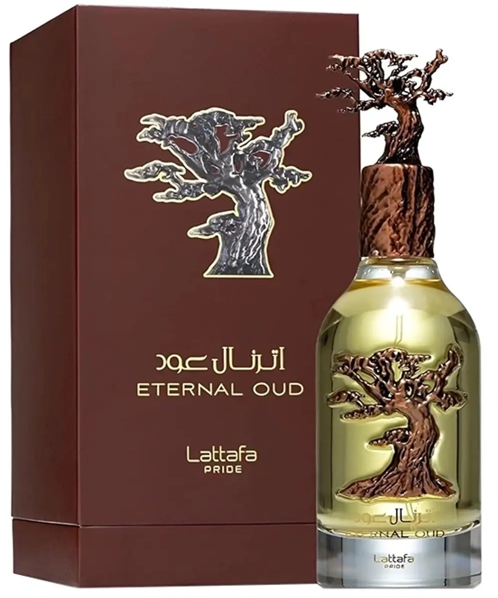 Lattafa External Oud Eau de Parfum 100ml