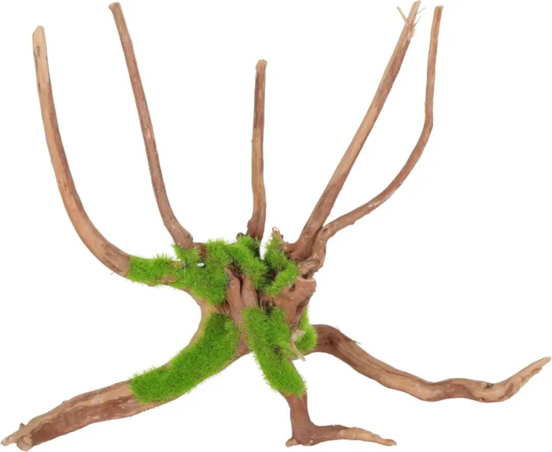 Zolux Spider Root M Aquarium Ornament