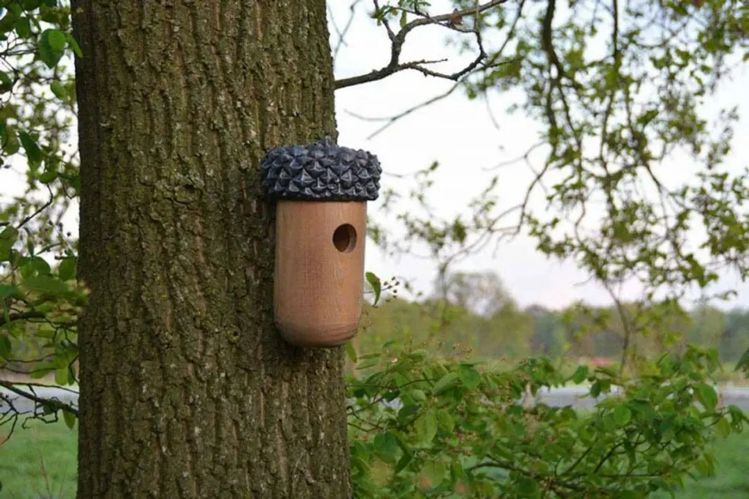 Esschert Design Nestkast Eikel Vogelhuisje - Hangend - 1 Inloop - afbeelding 6 van 6