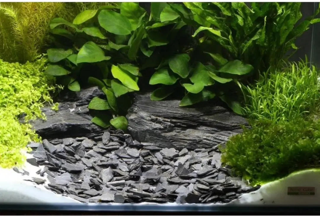 Dennerle Plantahunter Baikal Natuurgrind 5kg