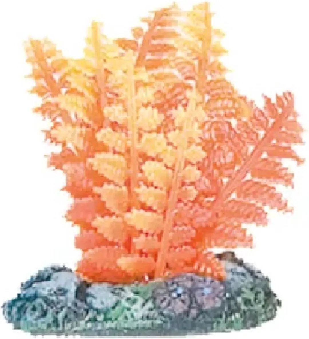 Flamingo Aquariumplant Voorgeplant - S - 5cm