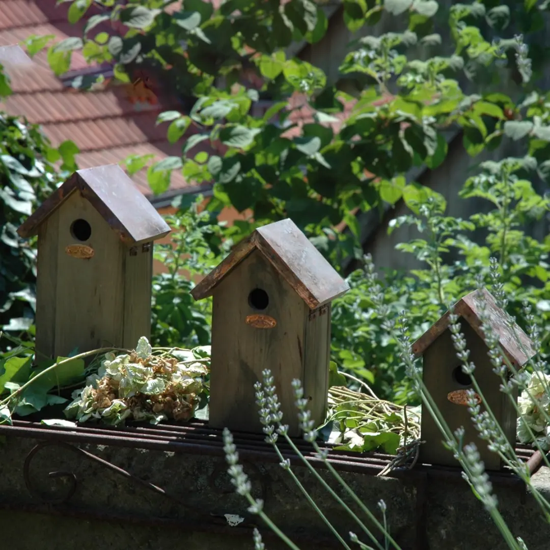 Esschert Design Koolmees Vogelhuisje Houtkleur - 14x17x30cm