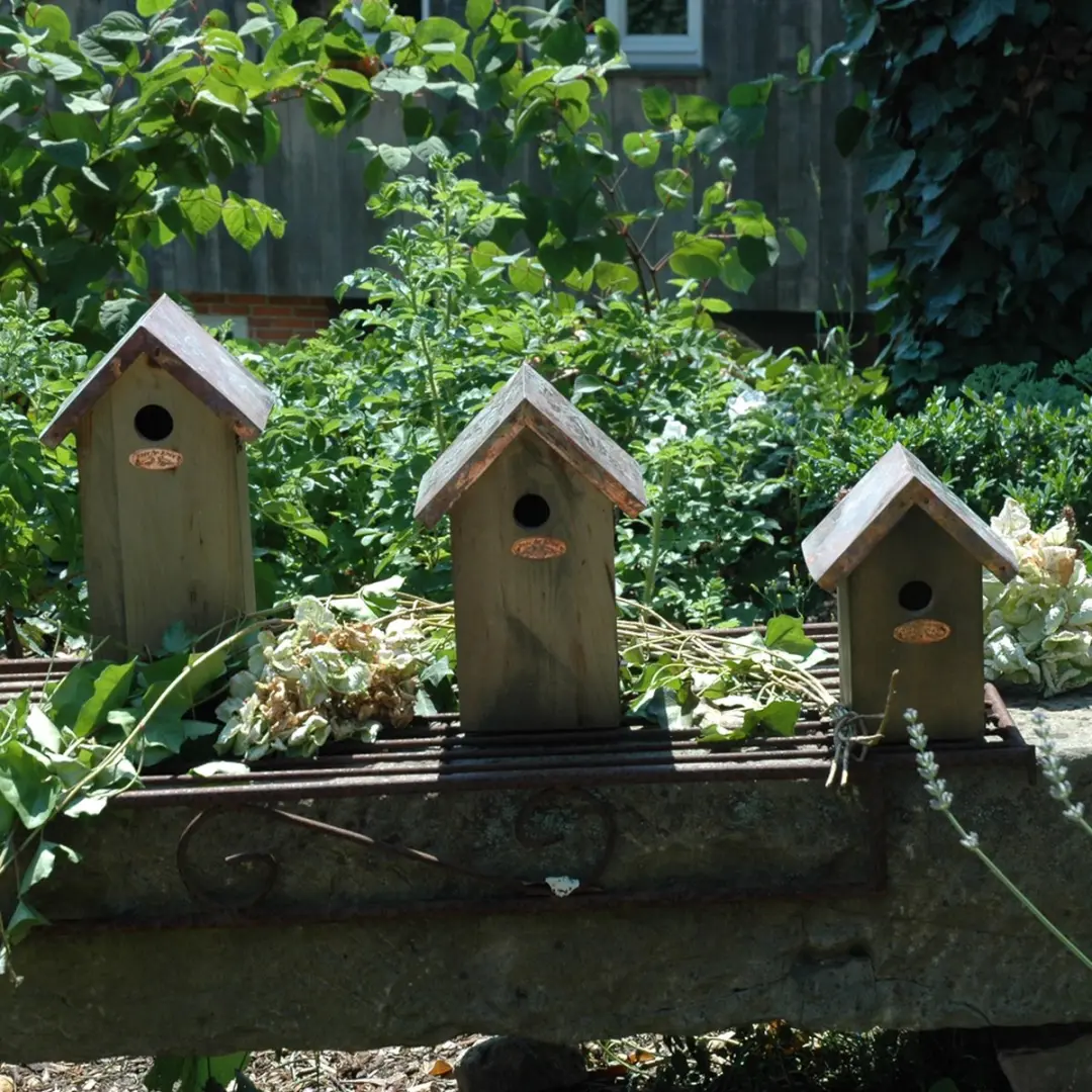 Esschert Design Koolmees Vogelhuisje Houtkleur - 14x17x30cm