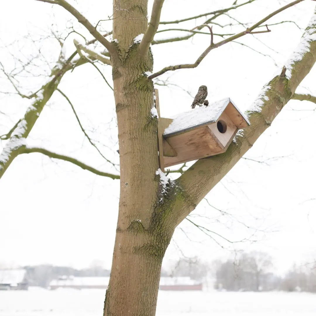 Esschert Design Steenuil Vogelhuisje - Houtkleur
