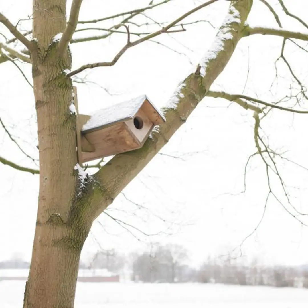 Esschert Design Steenuil Vogelhuisje - Houtkleur