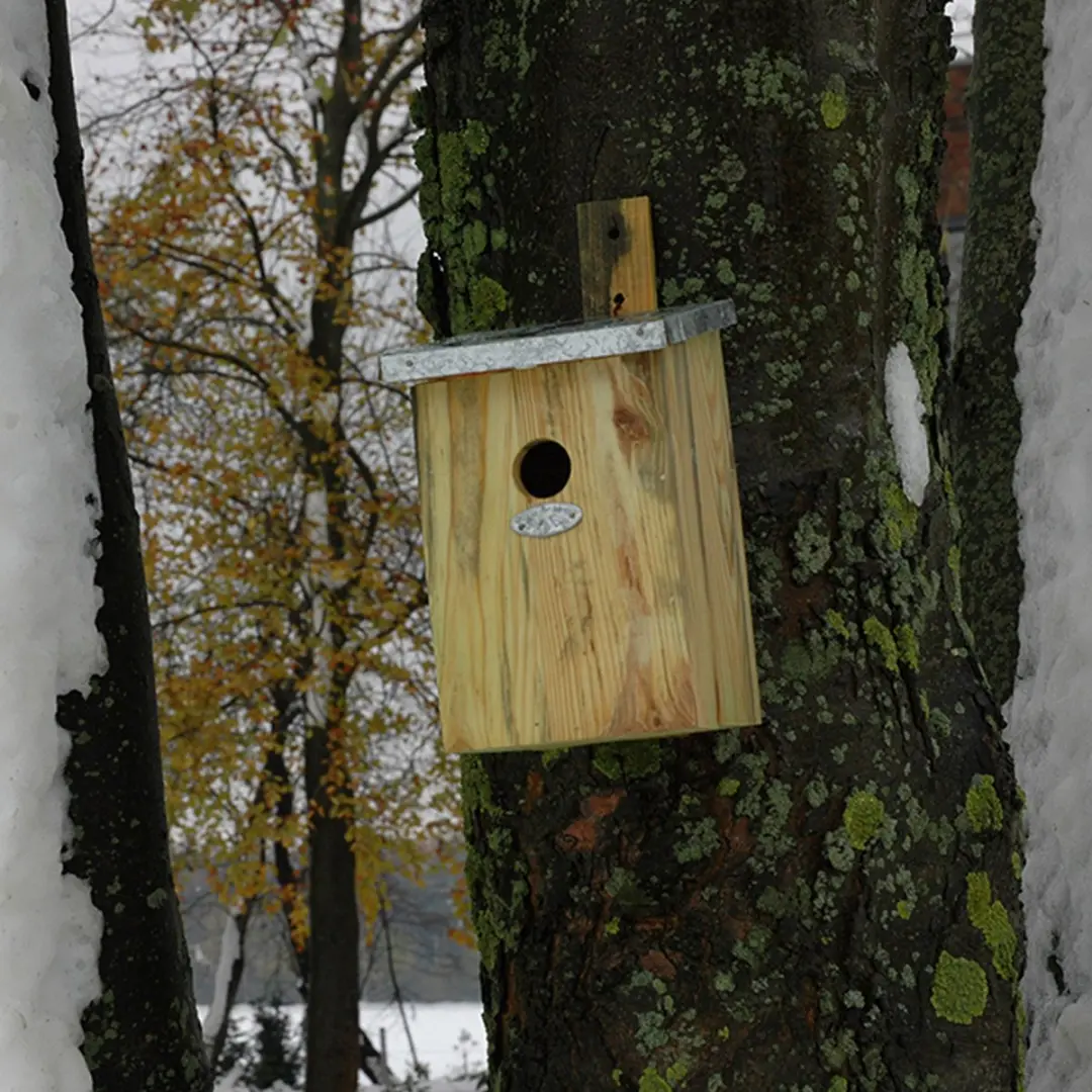 Esschert Design Spiegel Vogelhuisje Houtkleur - Hangend