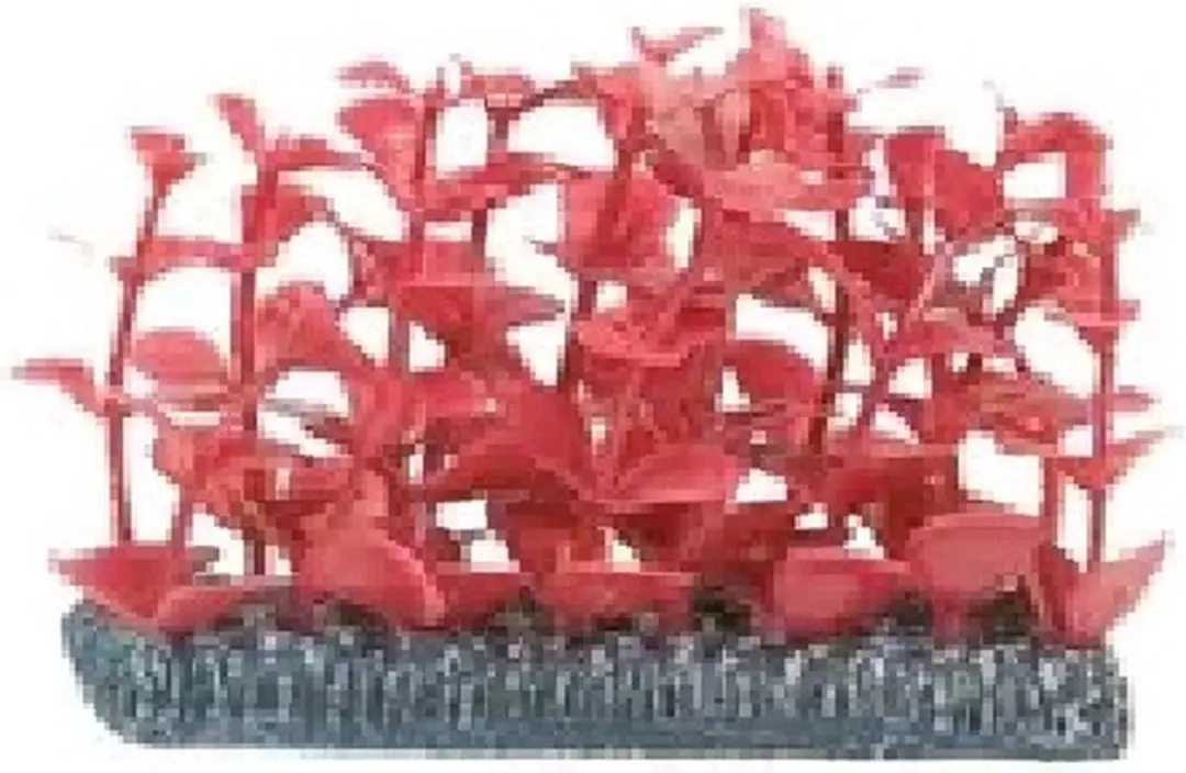 Flamingo Assorti Aquariumplant Voorgevel - 11.5x5x7.5cm